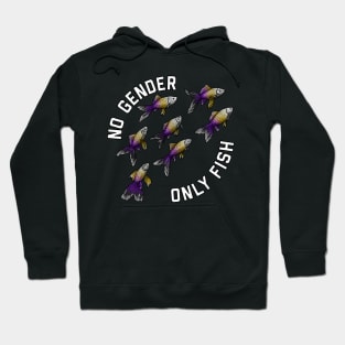 No Gender Only Fish Enby Hoodie